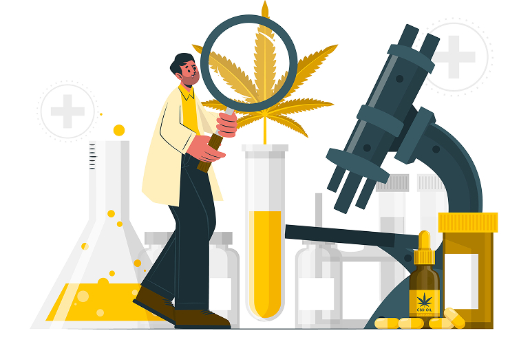 Cannabis Information content-image